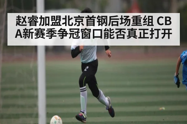 赵睿加盟北京首钢后场重组 CBA新赛季争冠窗口能否真正打开